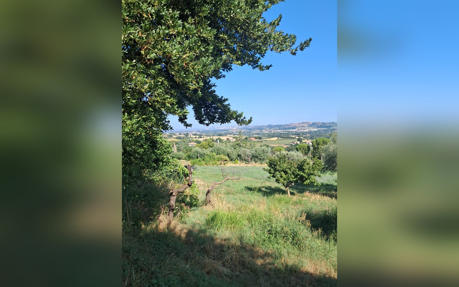 Fior di Loto Country & City — due alloggi a Macerata, campagna e centro, 